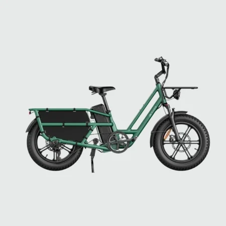 Fiido T2 Longtail Cargo E-Bike