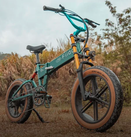 Fiido M1 Pro Fat Tire Electric Bike